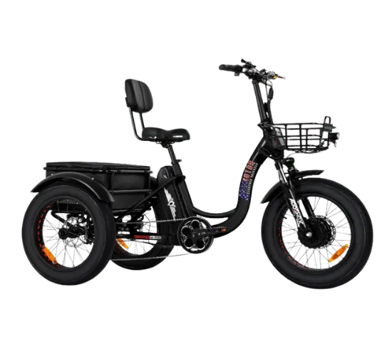 Addmotor Motan Electric Tricycle for Adults (M330)