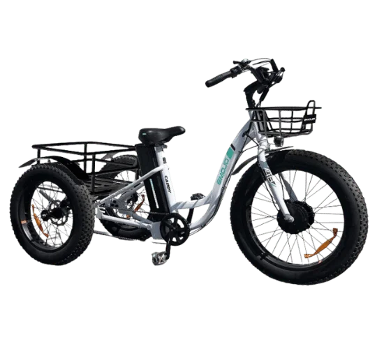 Best Tricycle for Heavy Adults - Emojo Electric Tricycle