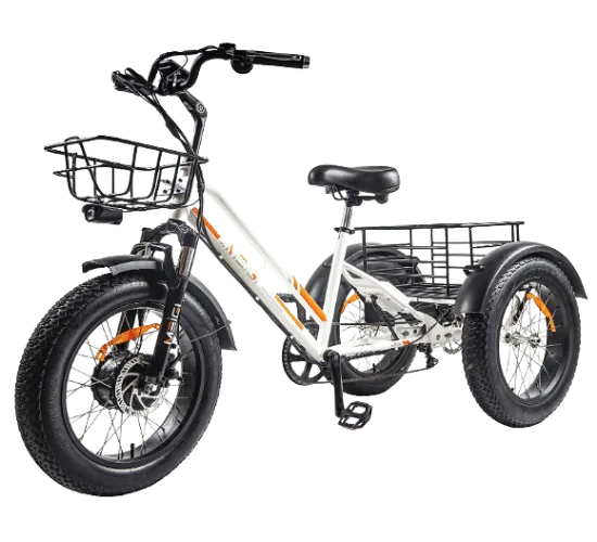 DWMEIGI 3 Wheel Electric Bike for Adult