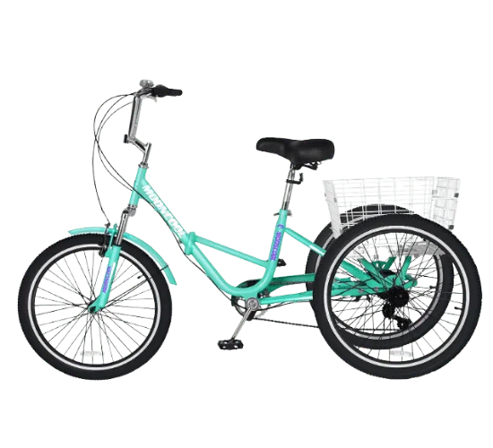 Slsy Adult Foldable Tricycle