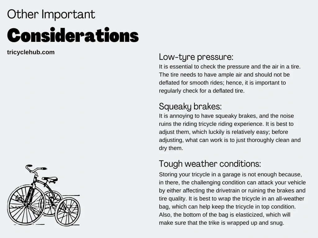 Other Important Considerations While Cleaning Trike