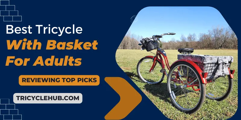 Best Tricycles with Basket for Adults