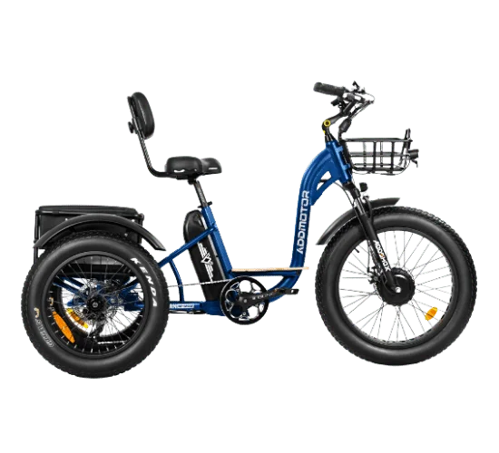 Addmotor Motan M-340 E Trike for Adults