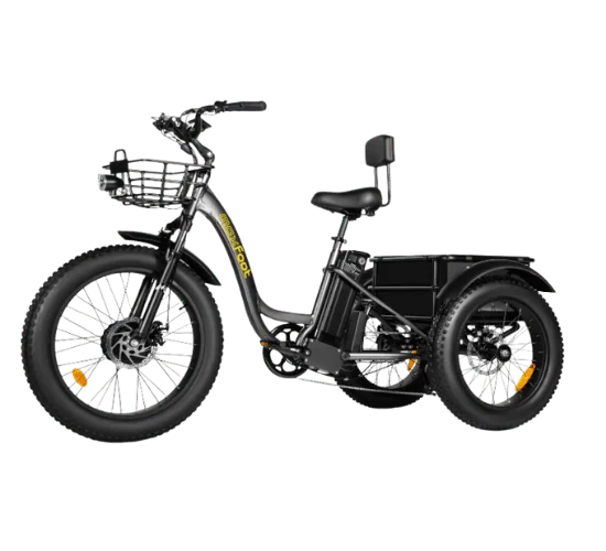 NF NIGHTFIRE MF30 Electric Tricycle for Seniors