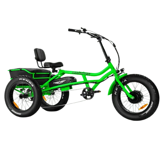ADDMOTOR Electric Bike for Special Need People